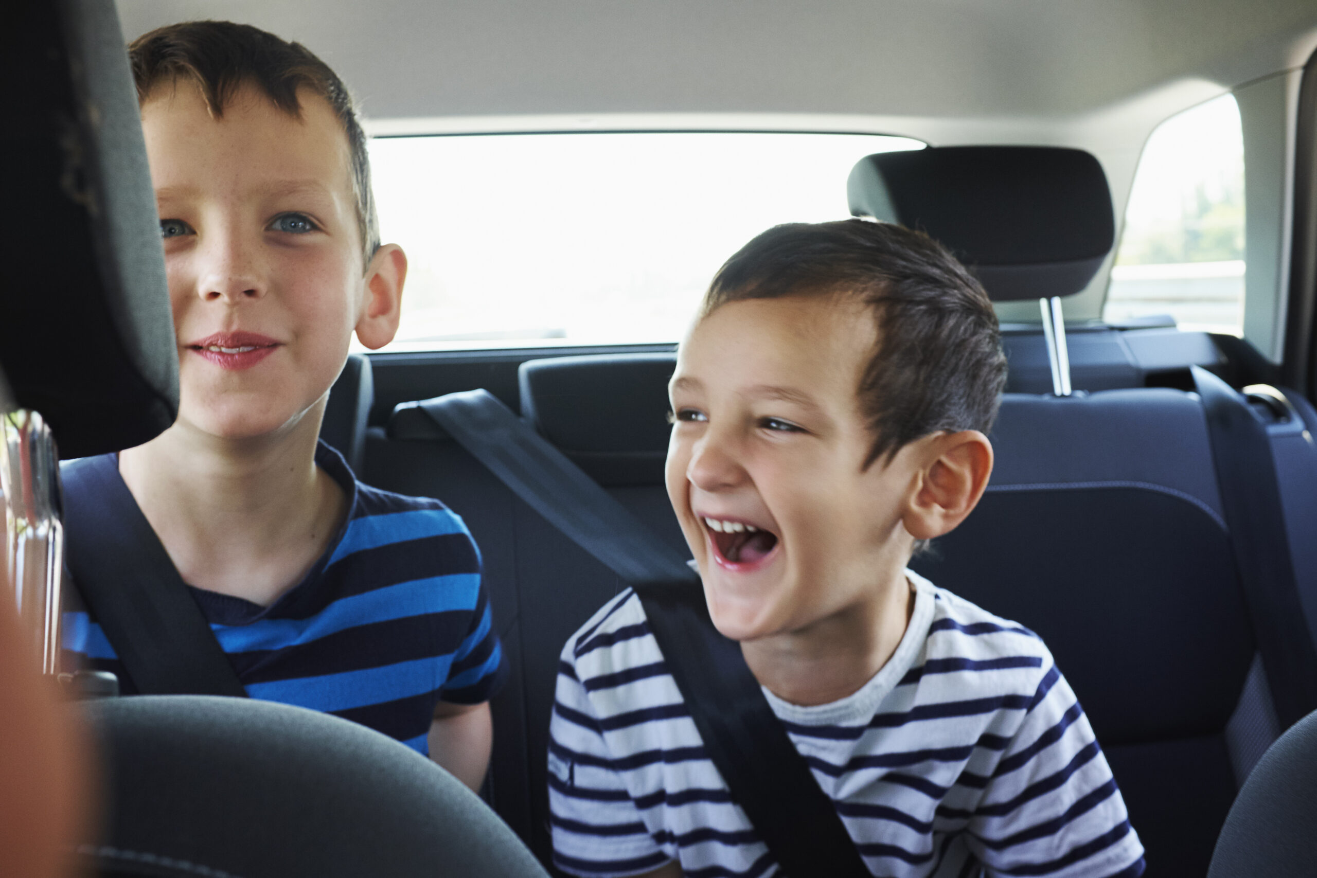 Two happy young brothers traveling in car back seat