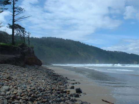 Cape_Lookout_State_Park_Oregon