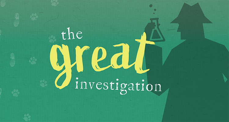 Great-Investigation_ENG