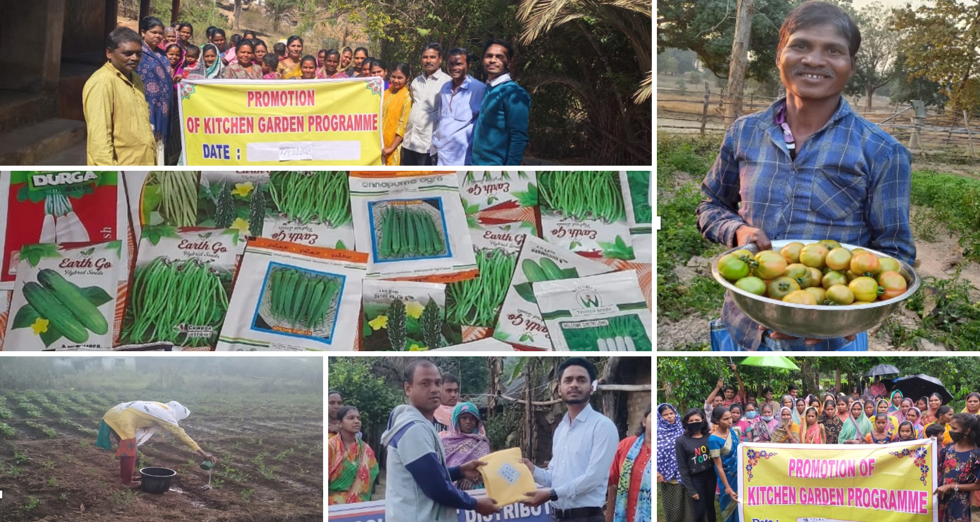 Kitchen-Garden-Project