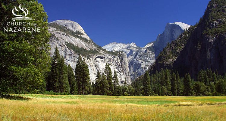 MountainField