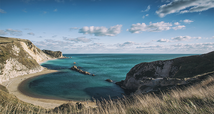 Ocean-Overlook-In-Mem