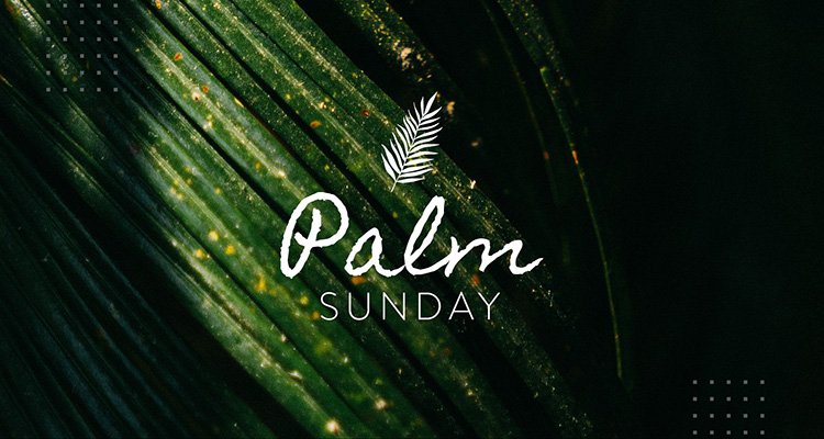 Palm-Sundary-message_0