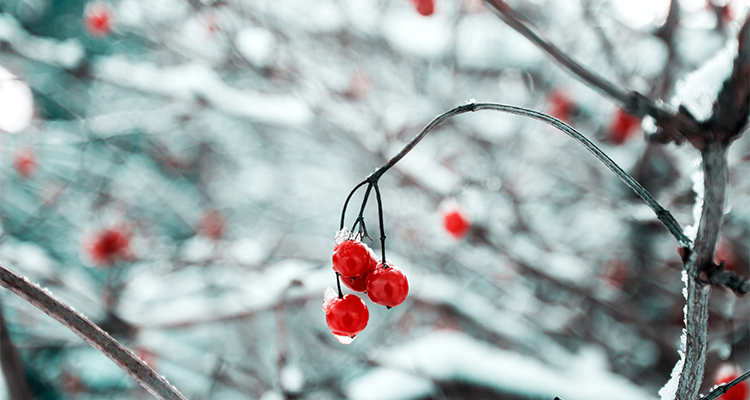 mekht-LSE4Rz_ixvA-unsplash