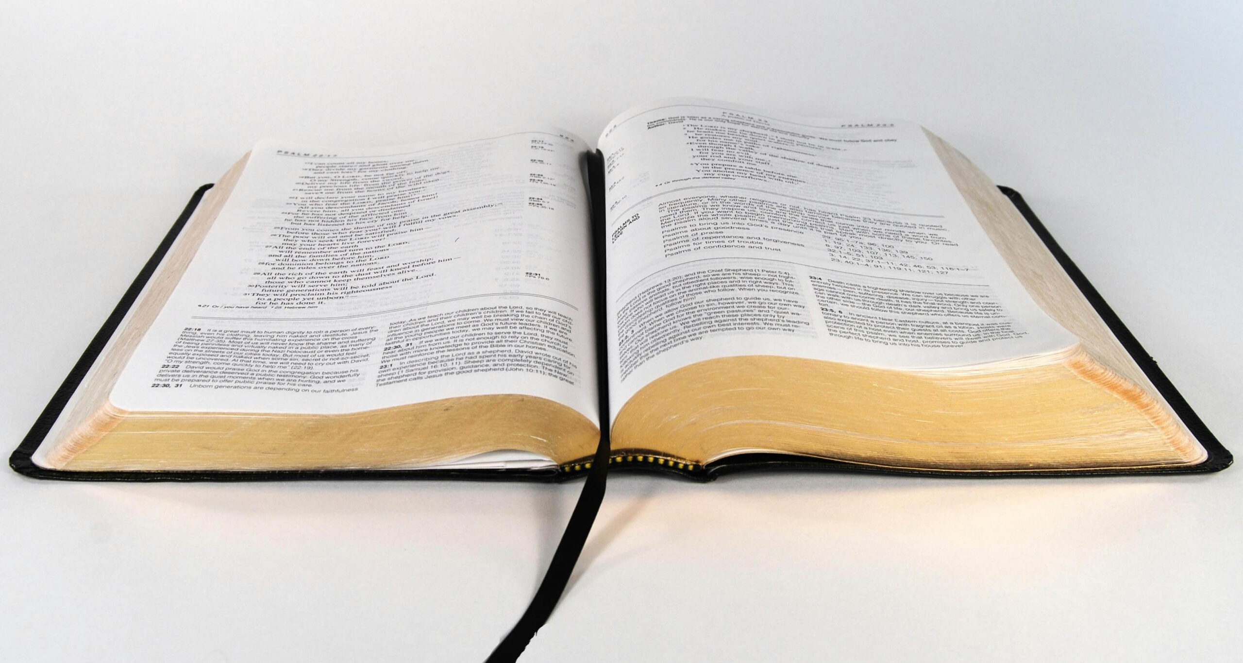 pexels-pixabay-257013-copy