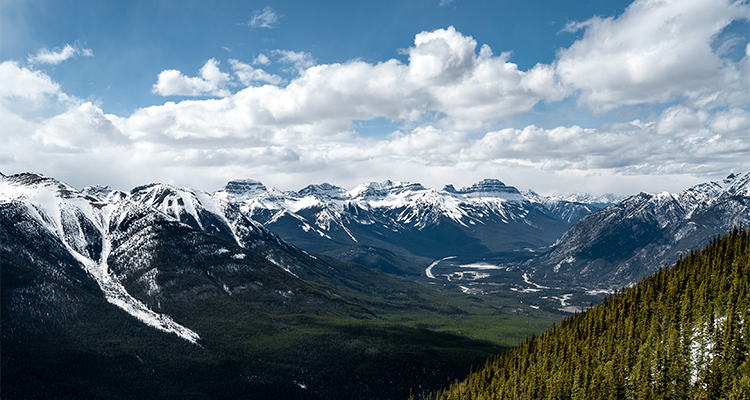 pexels-scott-webb-305818