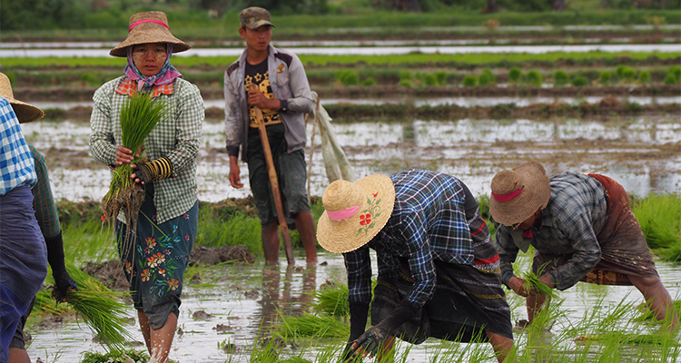 rodolphe-heraud-FFExOsGckhE-unsplash