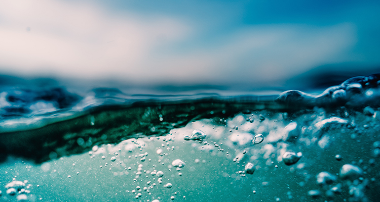 ryan-loughlin-a8Cewc-qGQ-unsplash-1-copy