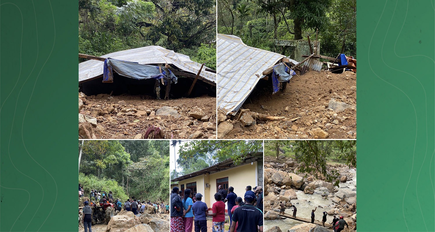 NCN Photo Background 8 copy